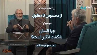 چرا انسان شگفت انگیز است؟