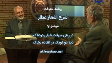 در رهی میرفت شبلی دردناک /  دید دو کودک در افتاده بخاک