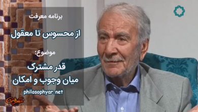 قدر مشترک میان وجوب و امکان چیست