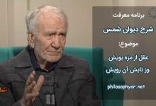 عقل از مزه بويش وز تابش آن رويش / هم خيره همي خندد هم دست همي سايد