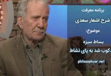 بساط سبزه لگدکوب شد به پای نشاط / ز بس که عارف و عامی به رقص برجستند