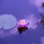 آرامش چیست؟